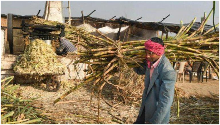 IIT Guwahati develops method to produce &lsquo;Xylitol&rsquo; from sugarcane waste (GS Paper 3, Science and Tech)
