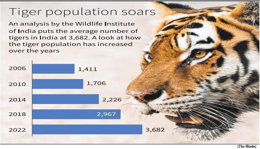 India&rsquo;s tiger population goes up, M.P. has most big cats (GS Paper 3, Environment)